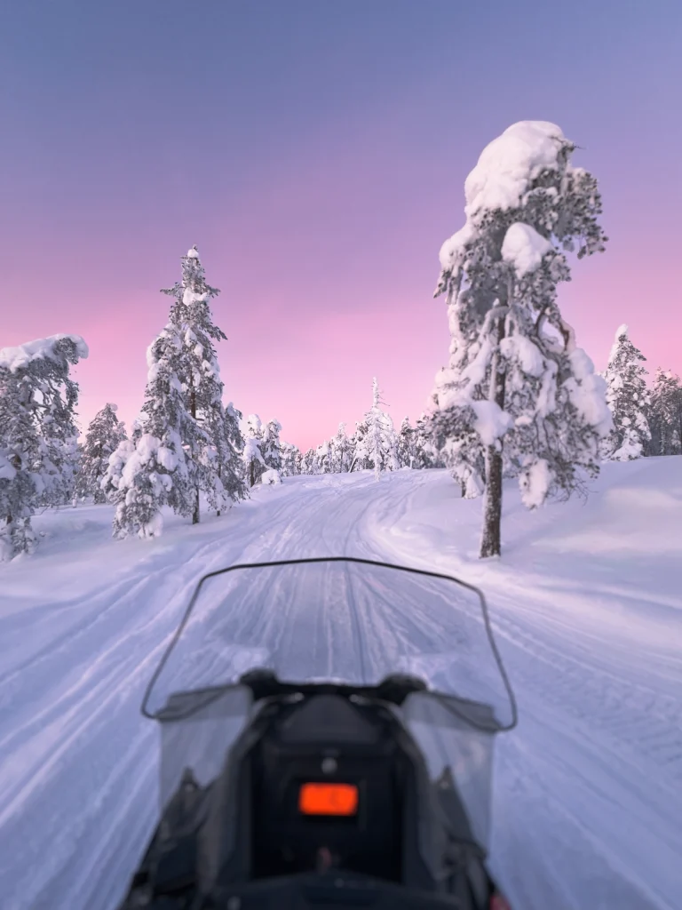 Point-of-view snowmobiling safari along snowy forest trails at pink sunset.